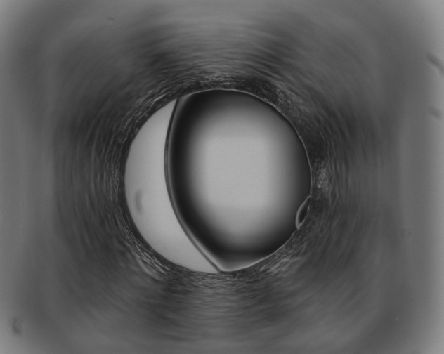 X0000091900868200709051102