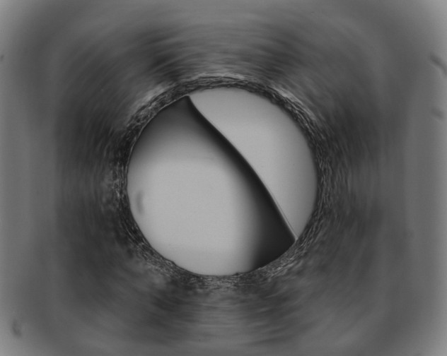X0000091900870200709051102