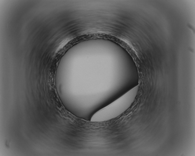 X0000091900871200709051102