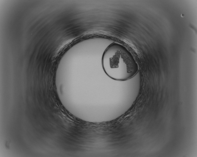X0000091900872200709051102