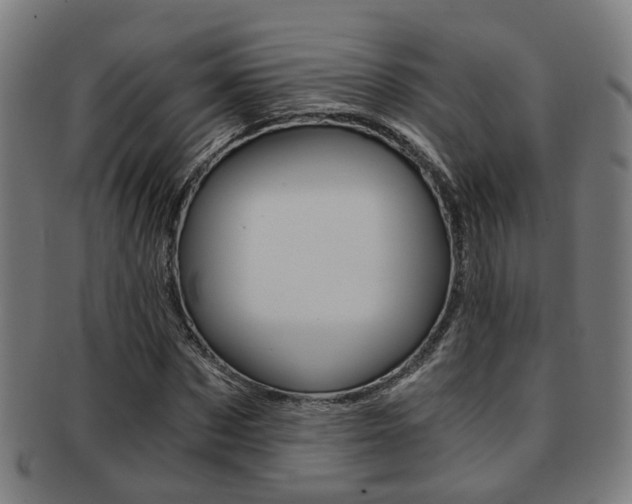 X0000091900873200709051102