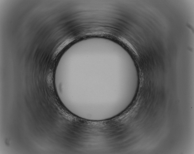 X0000091900874200709051102