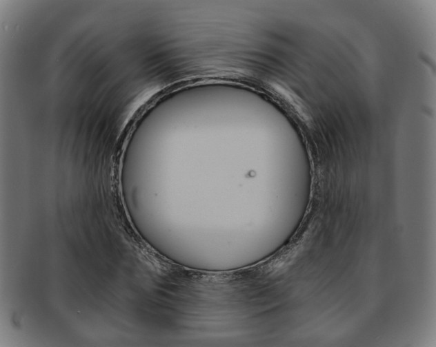 X0000091900875200709051102