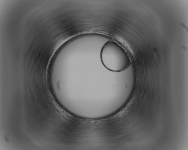 X0000091900876200709051102