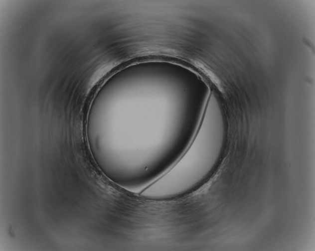 X0000091900877200709051102