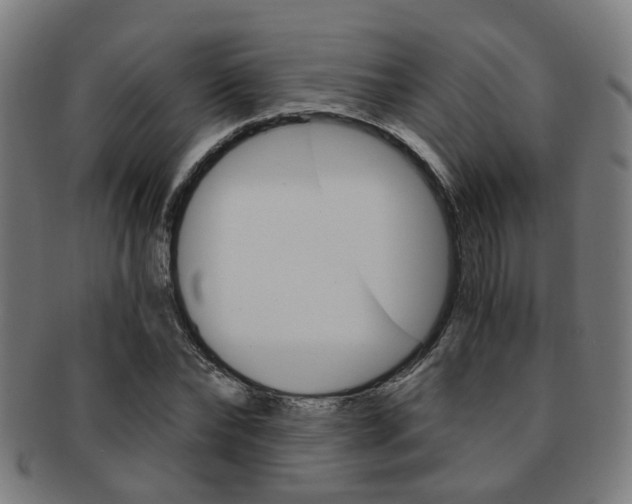 X0000091900878200709051102