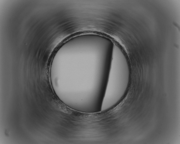 X0000091900879200709051102
