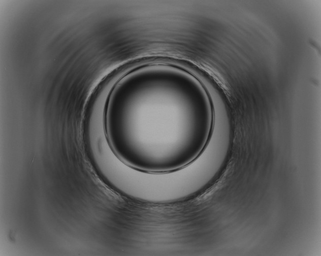 X0000091900880200709051102