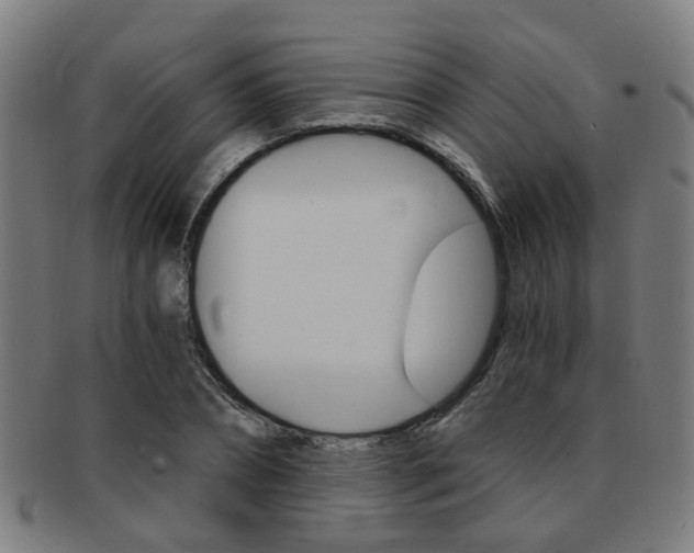 X0000091900882200709051102