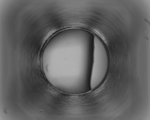 X0000091900883200709051102
