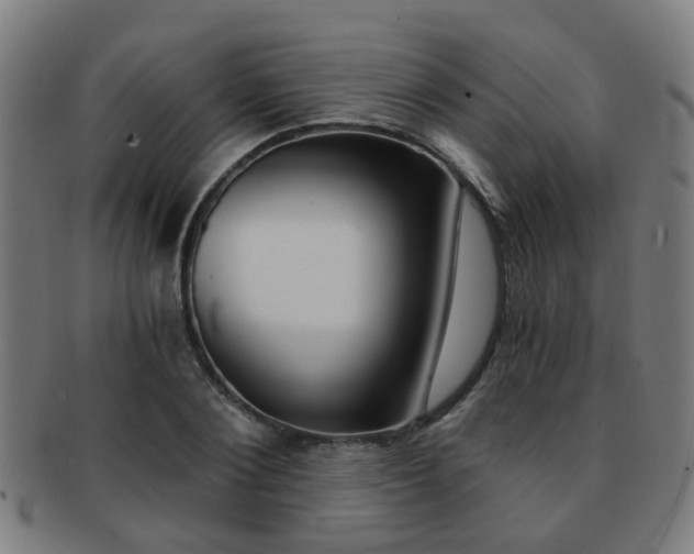 X0000091900884200709051102