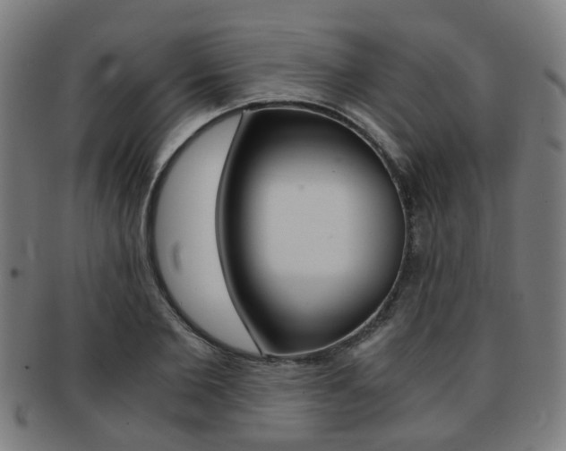 X0000091900885200709051102
