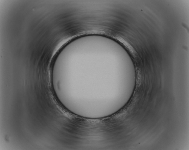 X0000091900886200709051102