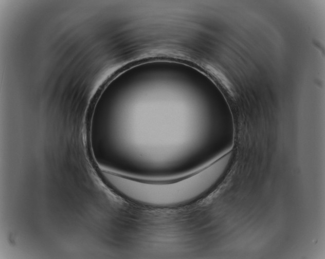 X0000091900888200709051102