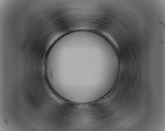 X0000091900890200709051102