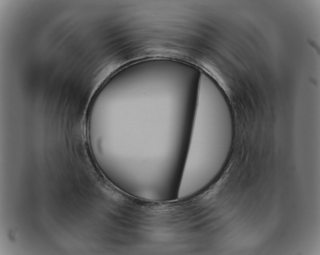 X0000091900891200709051102