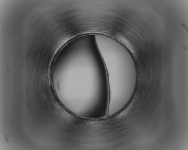 X0000091900892200709051102
