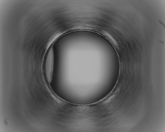 X0000091900893200709051102
