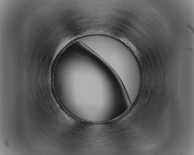 X0000091900894200709051101
