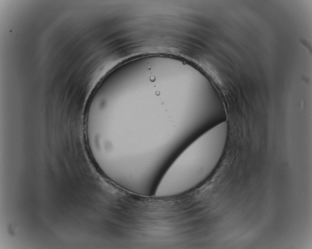 X0000091900895200709051101