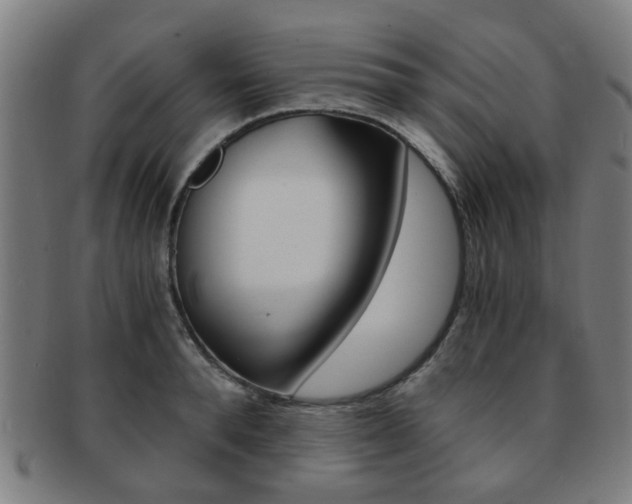 X0000091900896200709051101