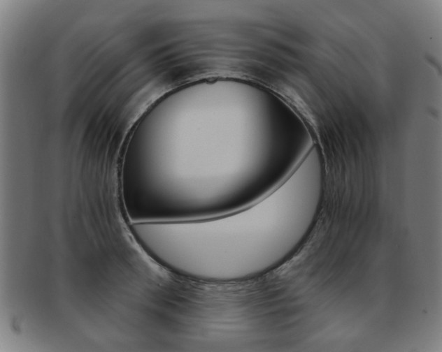 X0000091900898200709051101