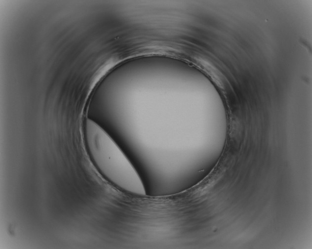 X0000091900899200709051101