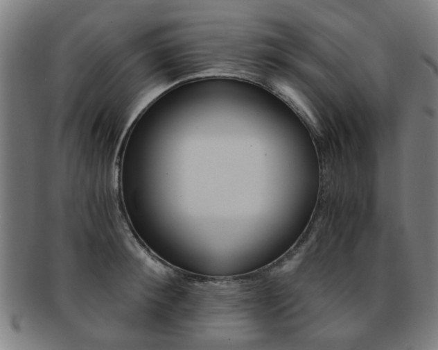 X0000091900900200709051101