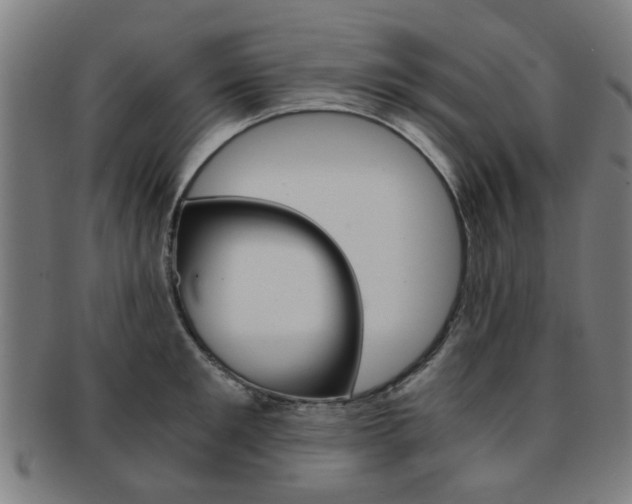 X0000091900901200709051101