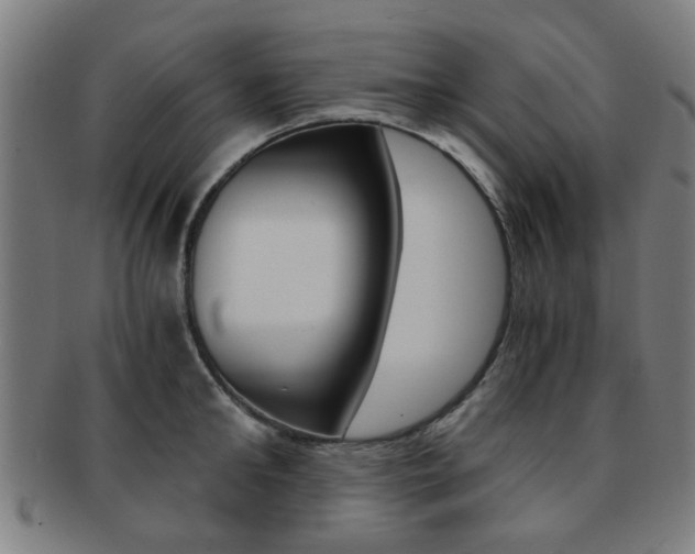 X0000091900902200709051101