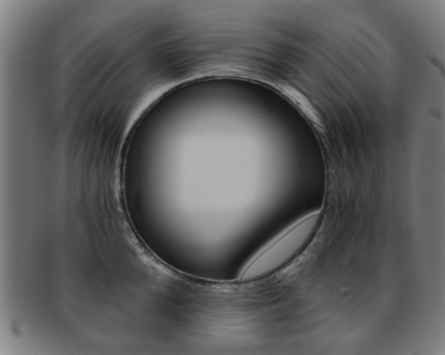 X0000091900904200709051101