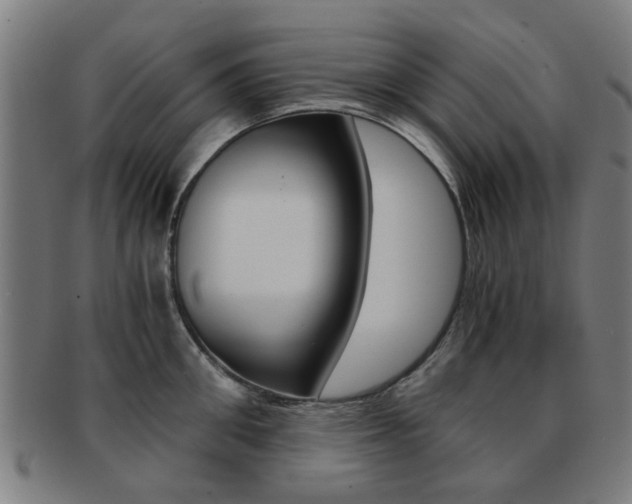 X0000091900906200709051101