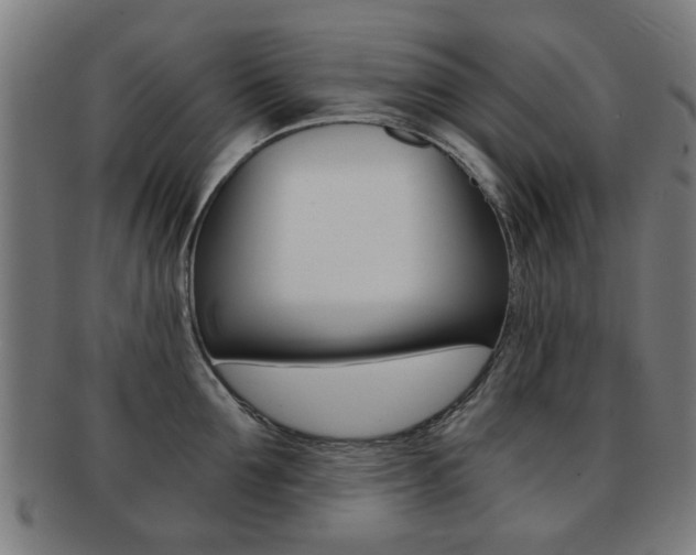 X0000091900907200709051101