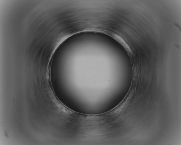 X0000091900908200709051101