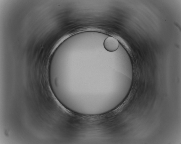 X0000091900910200709051101