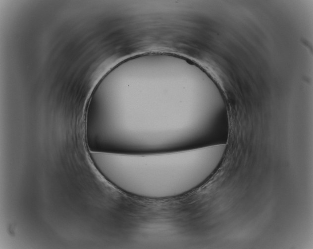 X0000091900911200709051101