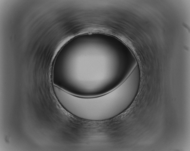 X0000091900912200709051101