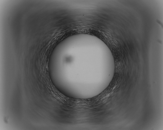 X0000091900913200709051101