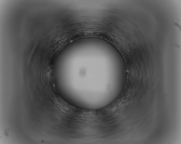 X0000091900914200709051101
