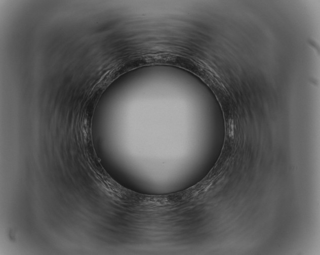 X0000091900915200709051101