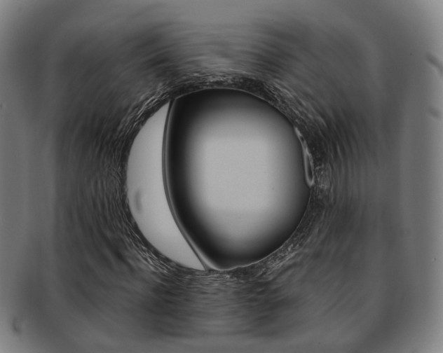 X0000091900916200709051101