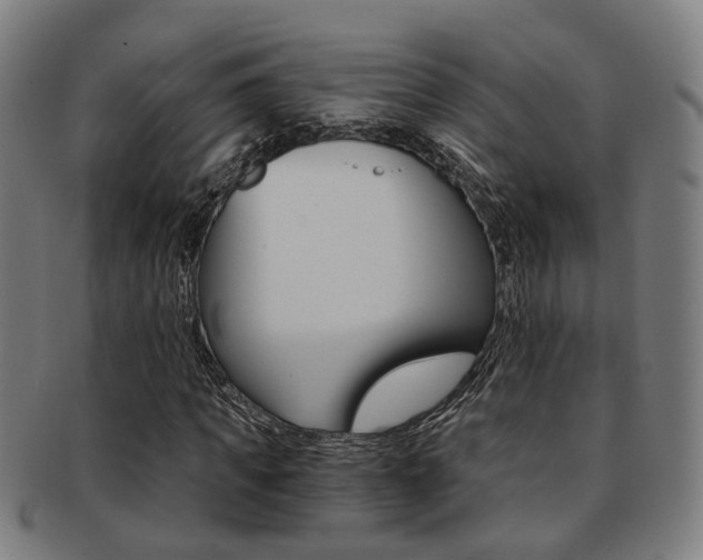 X0000091900917200709051101