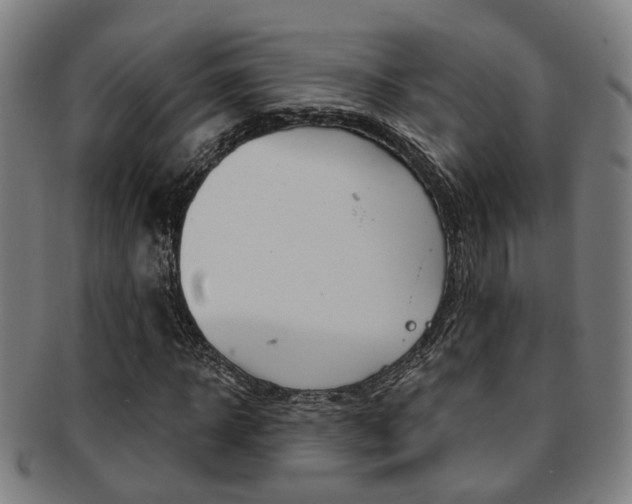 X0000091900918200709051101