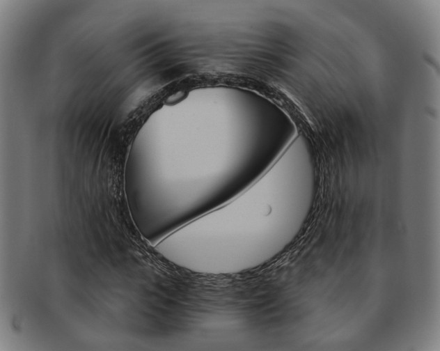 X0000091900919200709051101