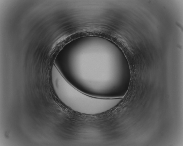 X0000091900920200709051101