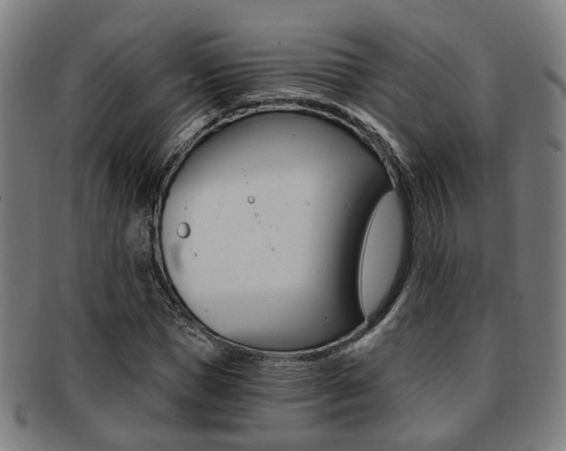 X0000091900921200709051101