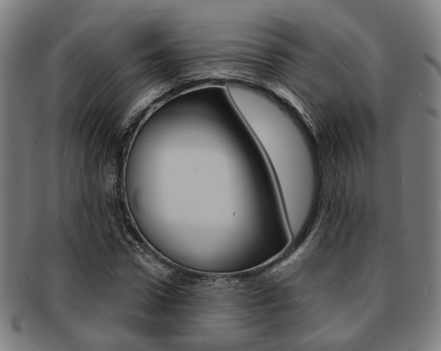 X0000091900922200709051101