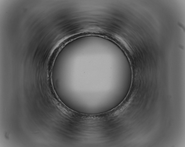 X0000091900923200709051101