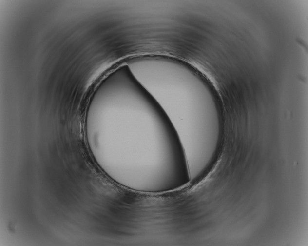 X0000091900925200709051101