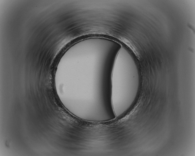 X0000091900926200709051101